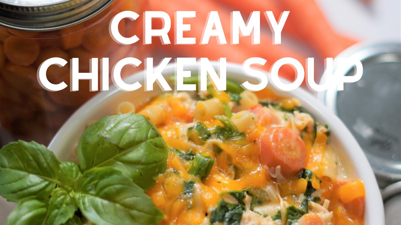 ALWAYS A WINNER * Creamy Chicken Soup Recipe