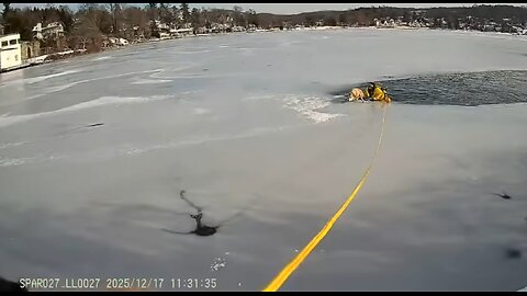 N.J. officer rescues dog from icy lake in Sparta Township