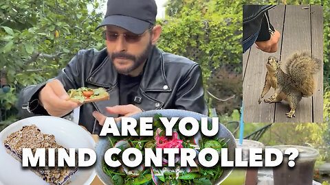 Are You Mind Controlled & Squirrel With A Tahini Cookie Addiction