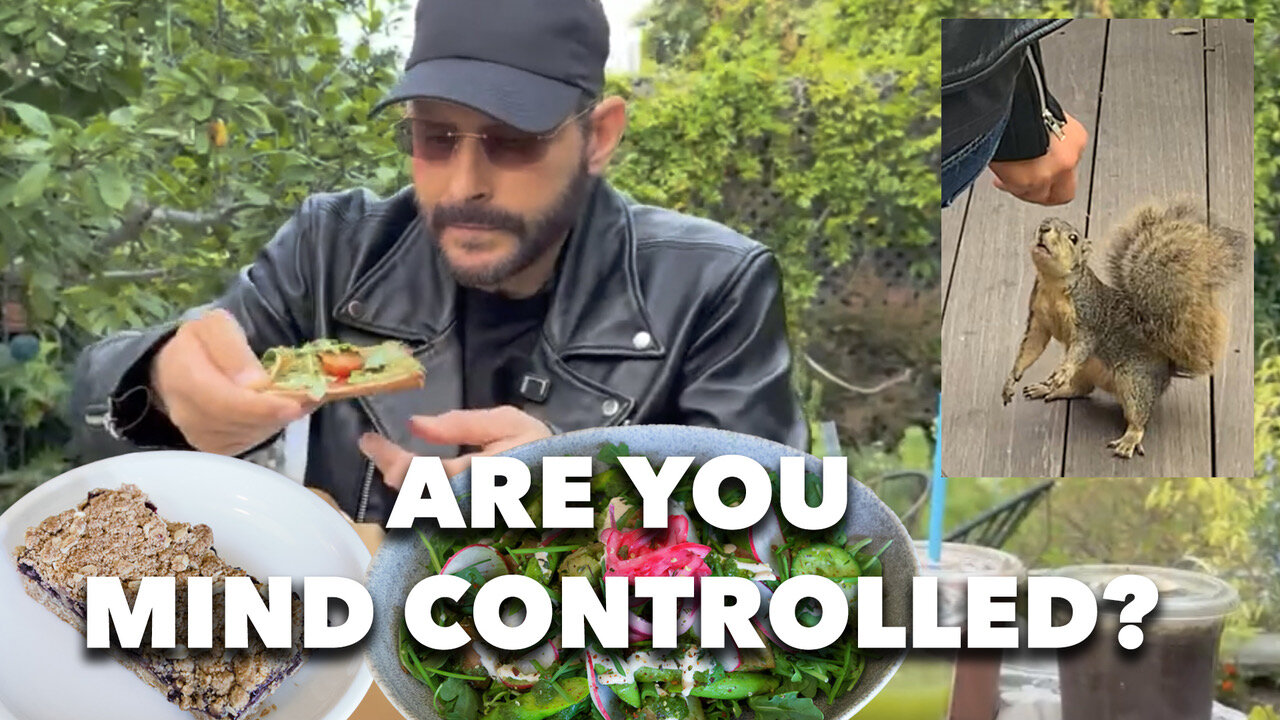 Are You Mind Controlled & Squirrel With A Tahini Cookie Addiction