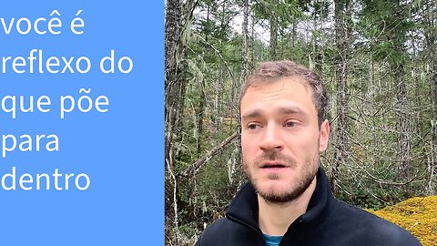 As influências externas e os perigos