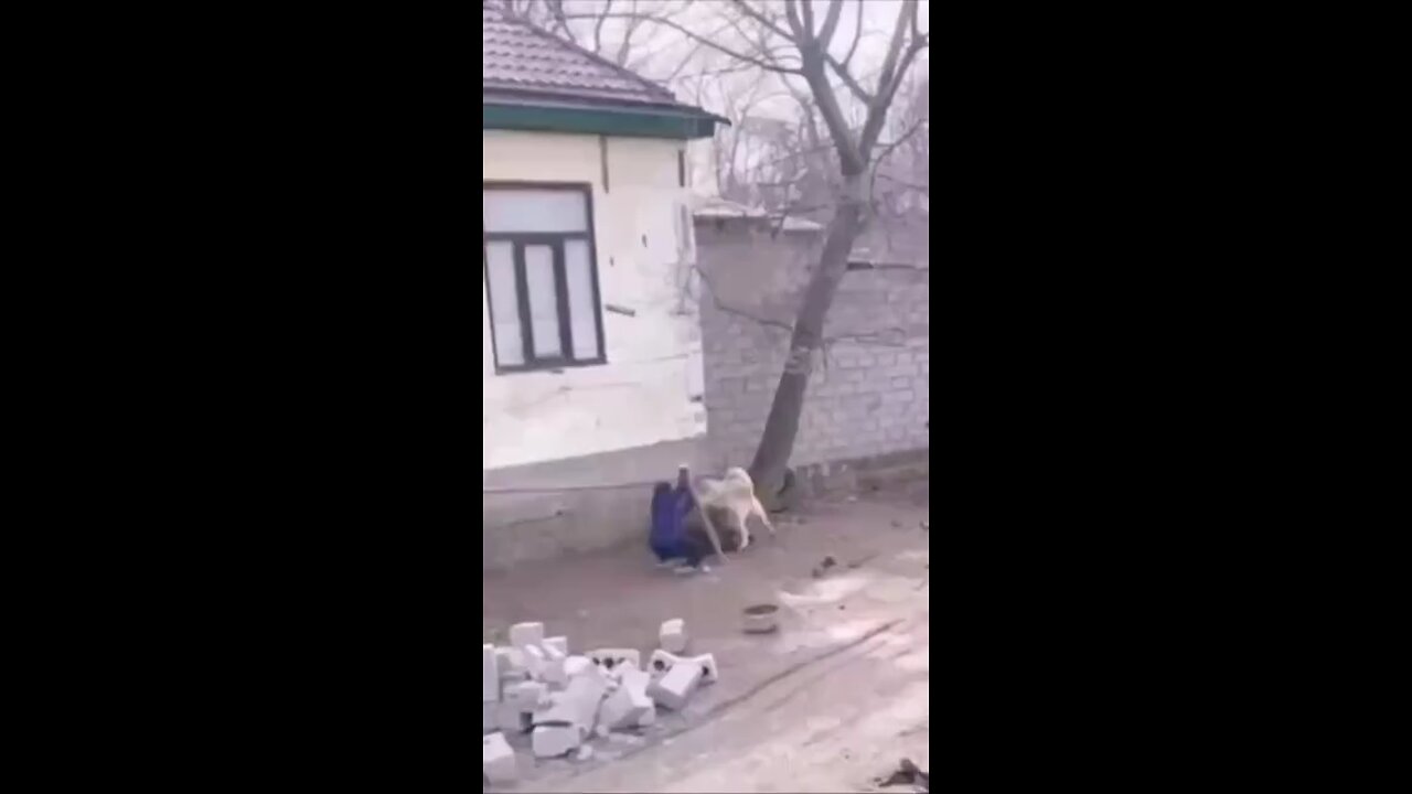 mortal Kombat