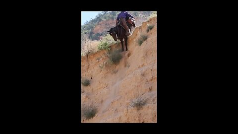 This guy is playing Minecraft in real life