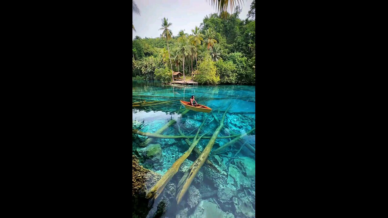 Sumatra Island, Indonesia 🇮🇩