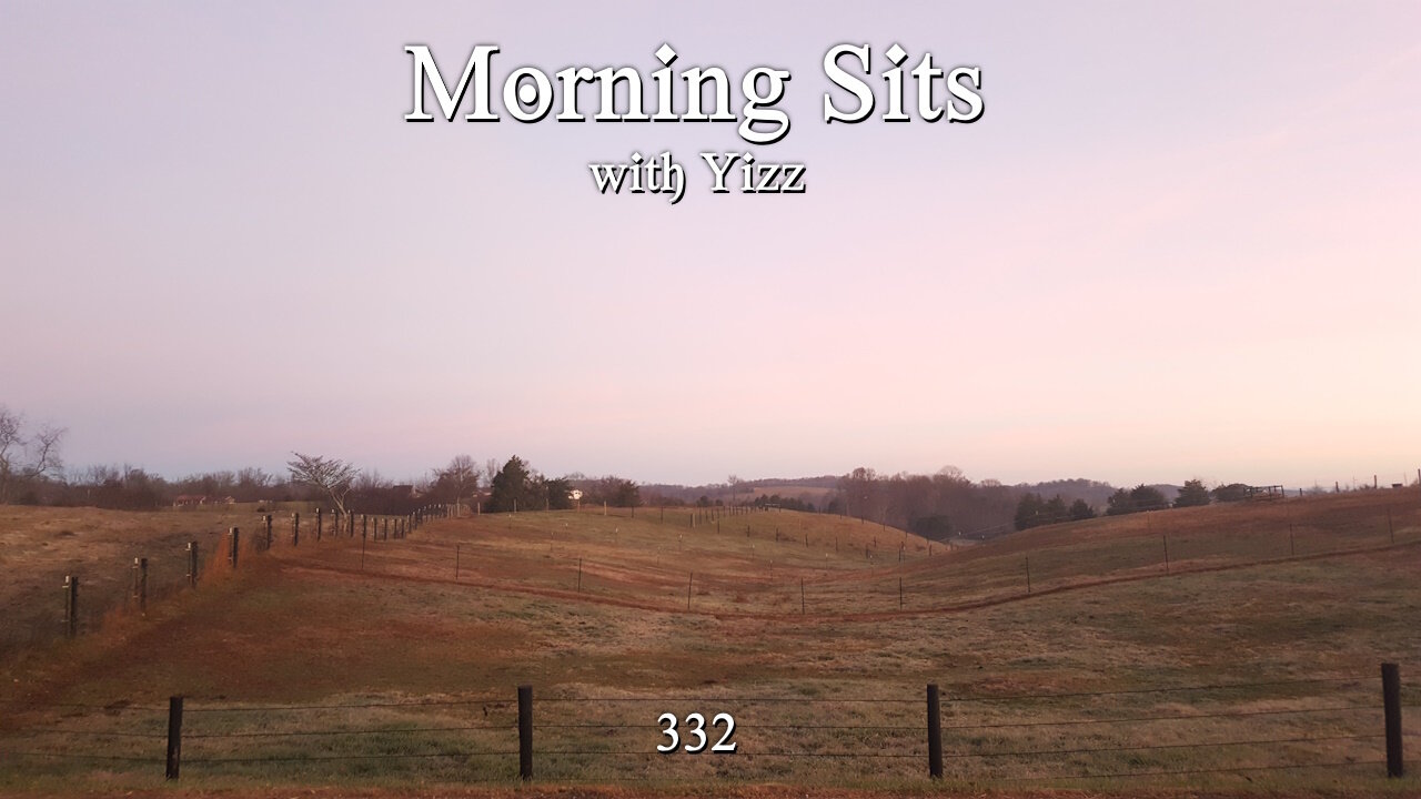 Morning Walks with Yizz 332