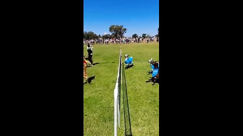 dogs 🐶 Vs goats 🐐 volleyball match 😱