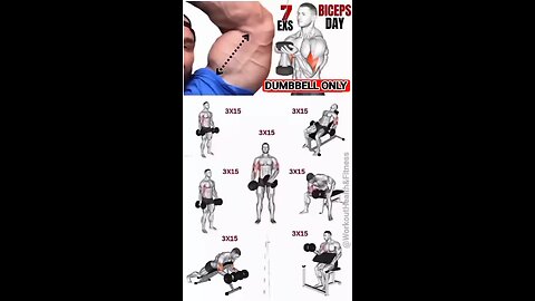 Build Bigger biceps . Dumbbell only biceps workout