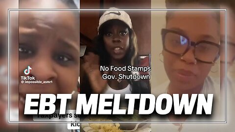 Alert: Watch Hordes of EBT-Funded Zombies Pledge to Rob America Starting November 1st