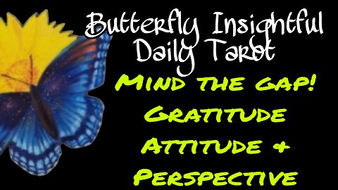 Butterfly Insightful Daily Tarot - Good attitude & gratitude attracts love & wealth!