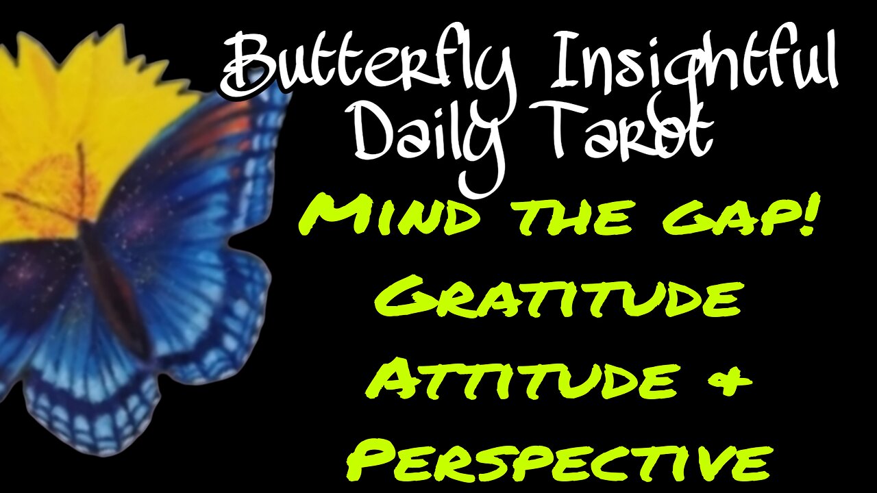 Butterfly Insightful Daily Tarot - Good attitude & gratitude attracts love & wealth!