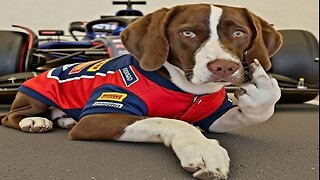 NO SPEED LIMITS IN CANADA