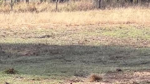 Nobody wants to be late for SNACKS!!!