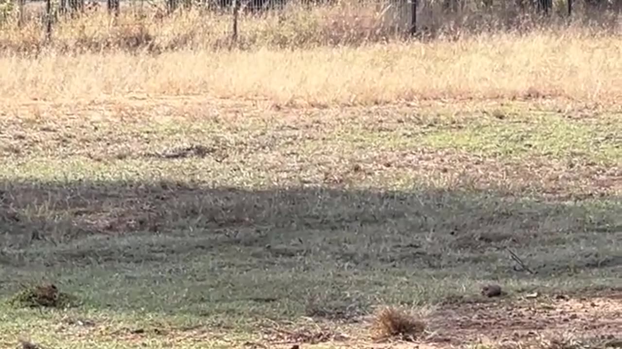 Nobody wants to be late for SNACKS!!!