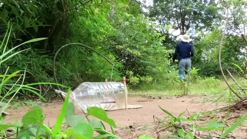 How to catch parrot 🦜