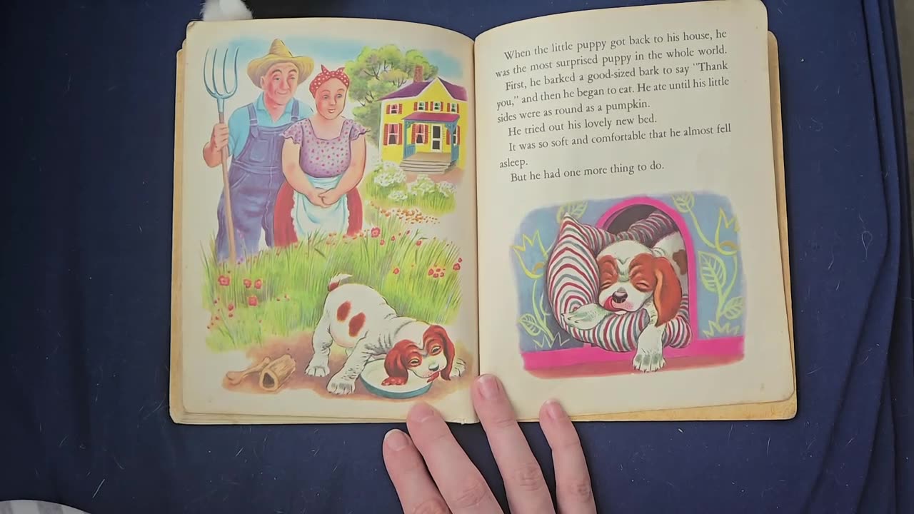 Little Yip-Yip and his bark by Kathryn and Byron Jackson