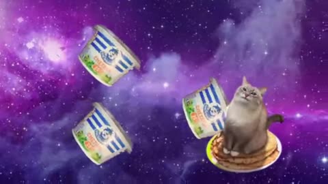 The Vidya News & Showcase: October 8, 2025
