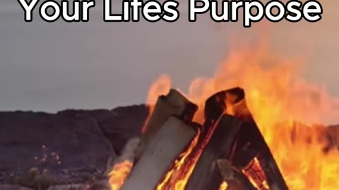 The Brutally Honest Way to Discover Your Life’s Purpose