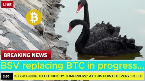 Make Roger Ver a Prison Bitch