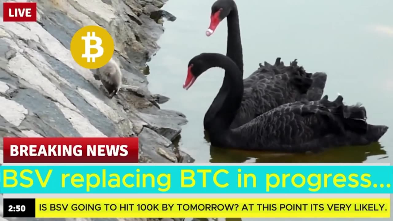 Make Roger Ver a Prison Bitch