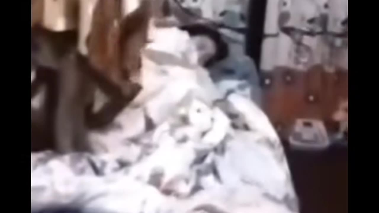 😱👻 3 Videos of Scary Apparitions! | TheHauntingHour