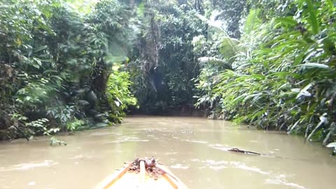 Amazon River Boat Ride