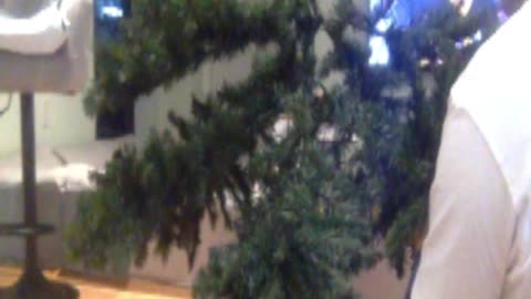 Christmas Tree Lighting