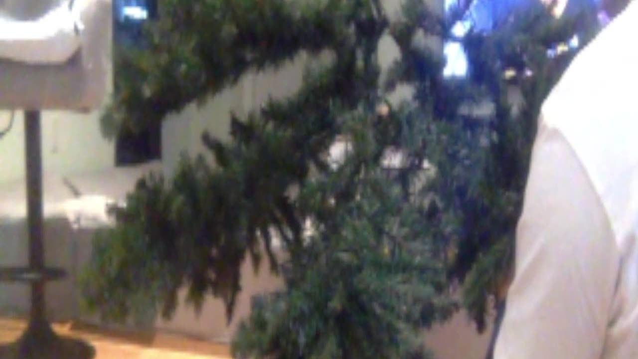 Christmas Tree Lighting