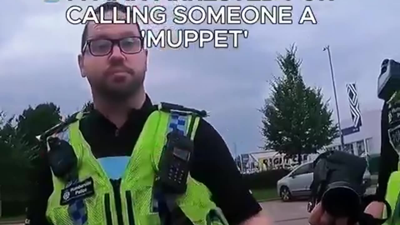 Apparently its illegal in the UK to call someone a "Muppet"