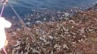 The Fly Line That Makes Casting Easier — Here’s Proof