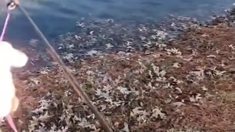 The Fly Line That Makes Casting Easier — Here’s Proof