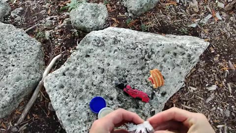 Sodium Reaction With Water Demonstration