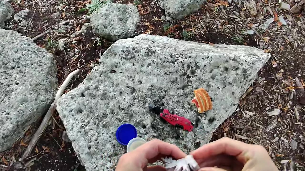 Sodium Reaction With Water Demonstration