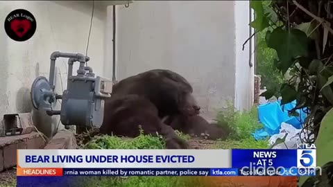 SoCal brothers work to restore hundreds of pianos damaged by L.A. wildfires