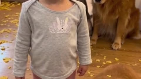 Cute Baby Playing With Animals | Adorable Baby & Pets Moments | Funny Animal Reactions”