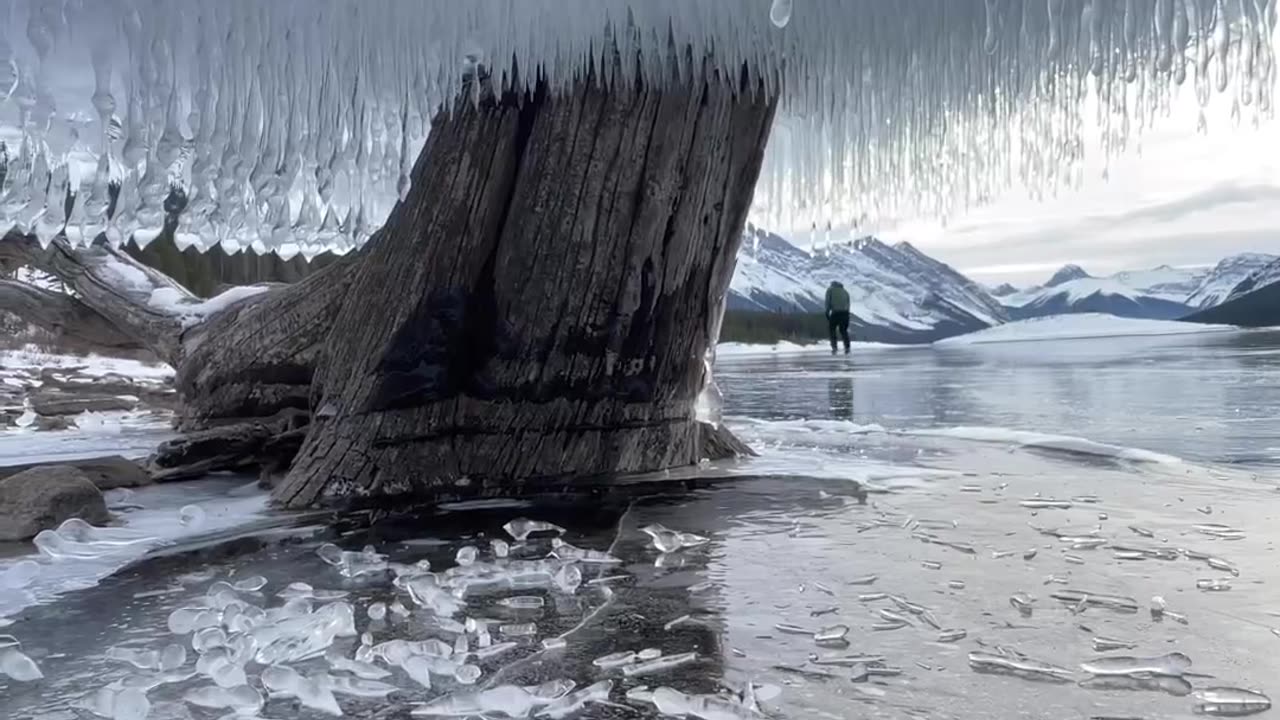 This ice "mushroom" grew on a tree in the polar states of Canada.