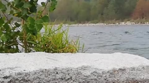 😊 185 MANIFESTACIÓN DE UNA VIDA PLENA EN DIOS Juan 10:10 😊