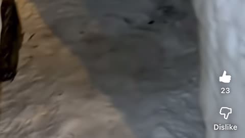 Younes oualli mtv cribs 😂