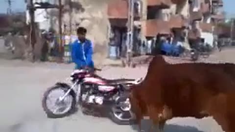 Poor biker