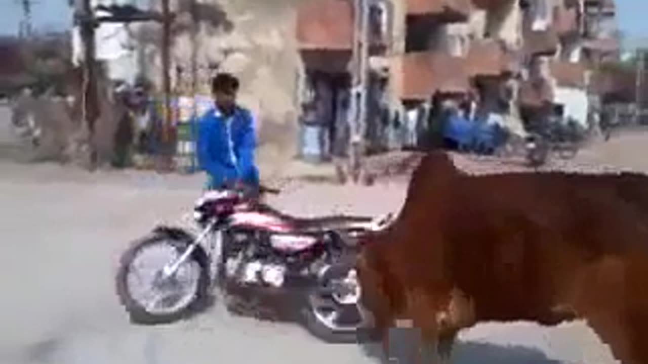 Poor biker