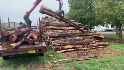 Patu 405 Loading Maple Logs For Firewood Processing