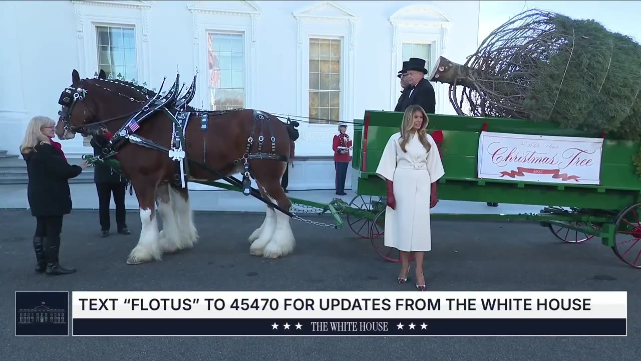 First Lady Melania Dazzles in Winter White as She Receives Christmas Tree