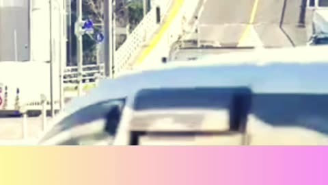 Japan's Eshima Ohashi Bridge😲😆
