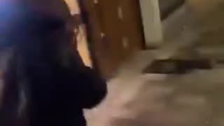 London African migrants are filming themselves chasing and terrifying lone White women