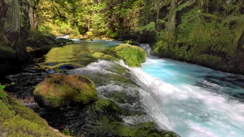 "We can’t solve problems by using the same kind of thinking we used when we created them."