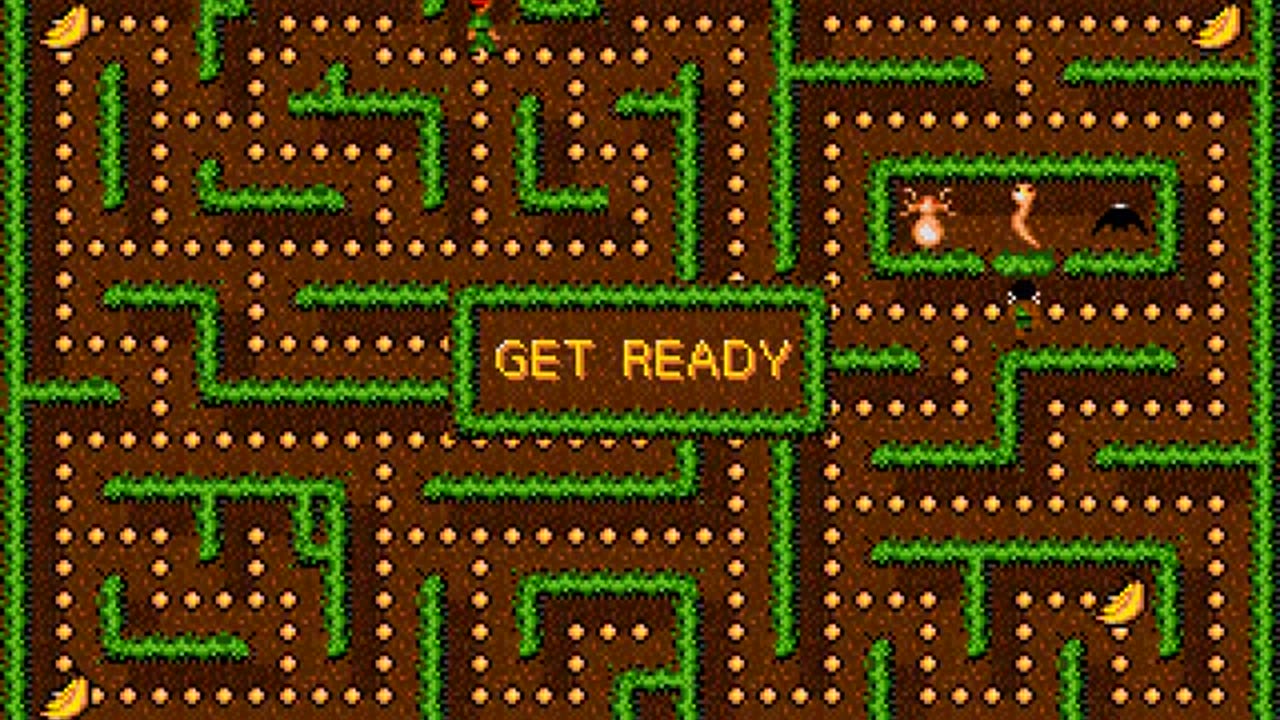 Amiga Longplay Jungle Jim