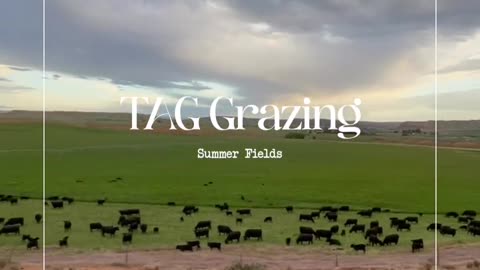 Increase biology and reduce inputs through Target Grazing. cartercountrymeats.com