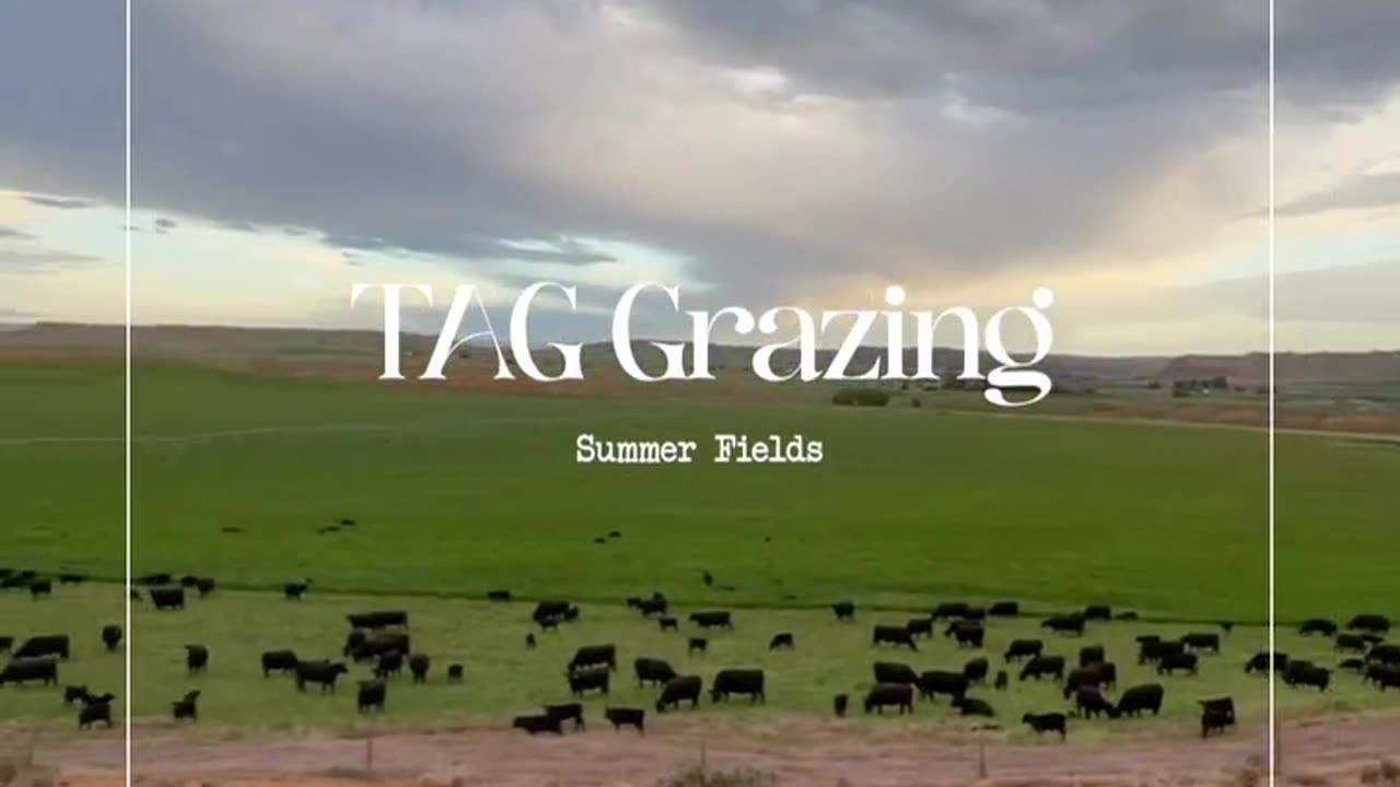Increase biology and reduce inputs through Target Grazing. cartercountrymeats.com