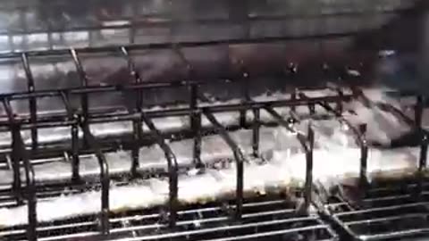 🐟 800 Bowls Sold Out Every Day?! Korea’s Busiest Grilled Fish Stall! 😱🔥
