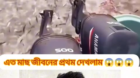 🌊 আল্লাহর সৃষ্টি অবাক করে! এক জালে ধরা সাগরের সব মাছ — Miracle of Allah 🌿