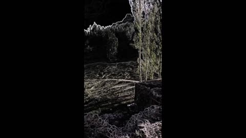 Flood